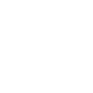 Document intelligence