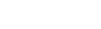 Slingshot logo light big