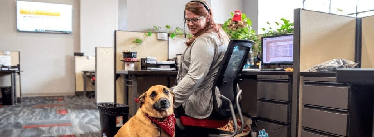 Metlife Announcement