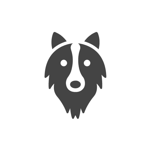 border-collie icon