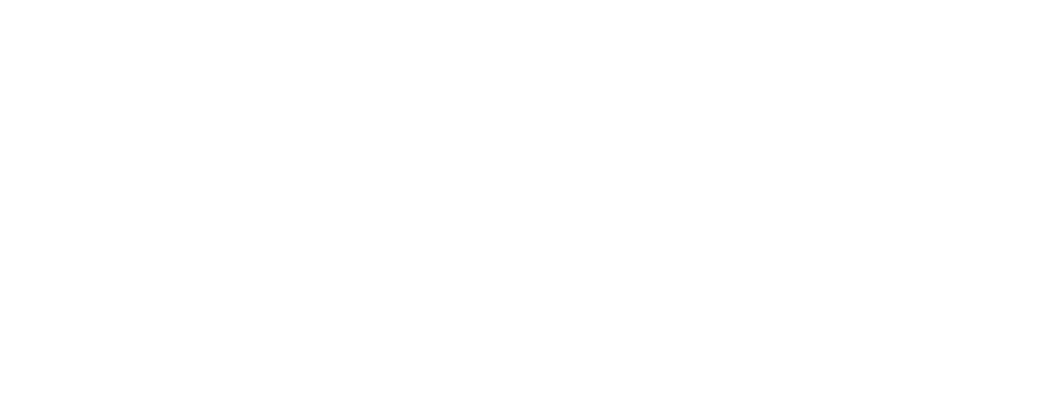 slingshot ventures white logo