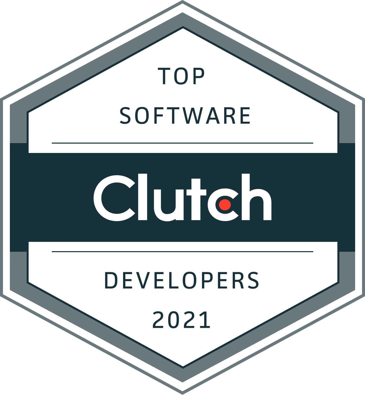 Top Software Developer 2021